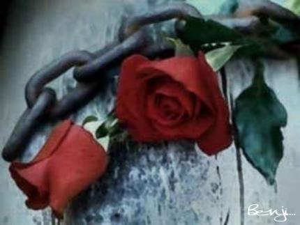 Dans tous les cas, ne critiquons pas, n'ayons pas recours aux représailles.