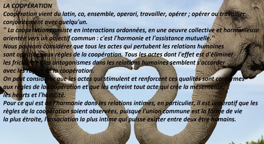 Tous les actes dont l'effet est d'éliminer les frictions et les antagonismes dans les relations humaines semblent s'accorder avec les règles de la coopération.