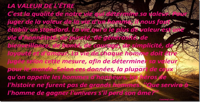 La Valeur de l'&ecirc;tre