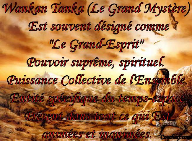 Les 7 Règles Chamanique