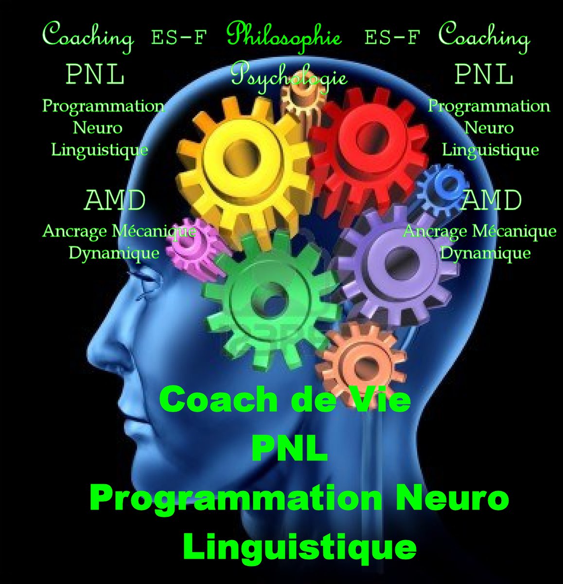 PNL: Programmation Neuro Linguistique